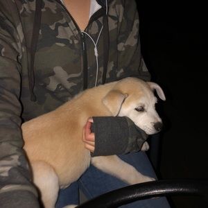 Meet your Posher, Graciela